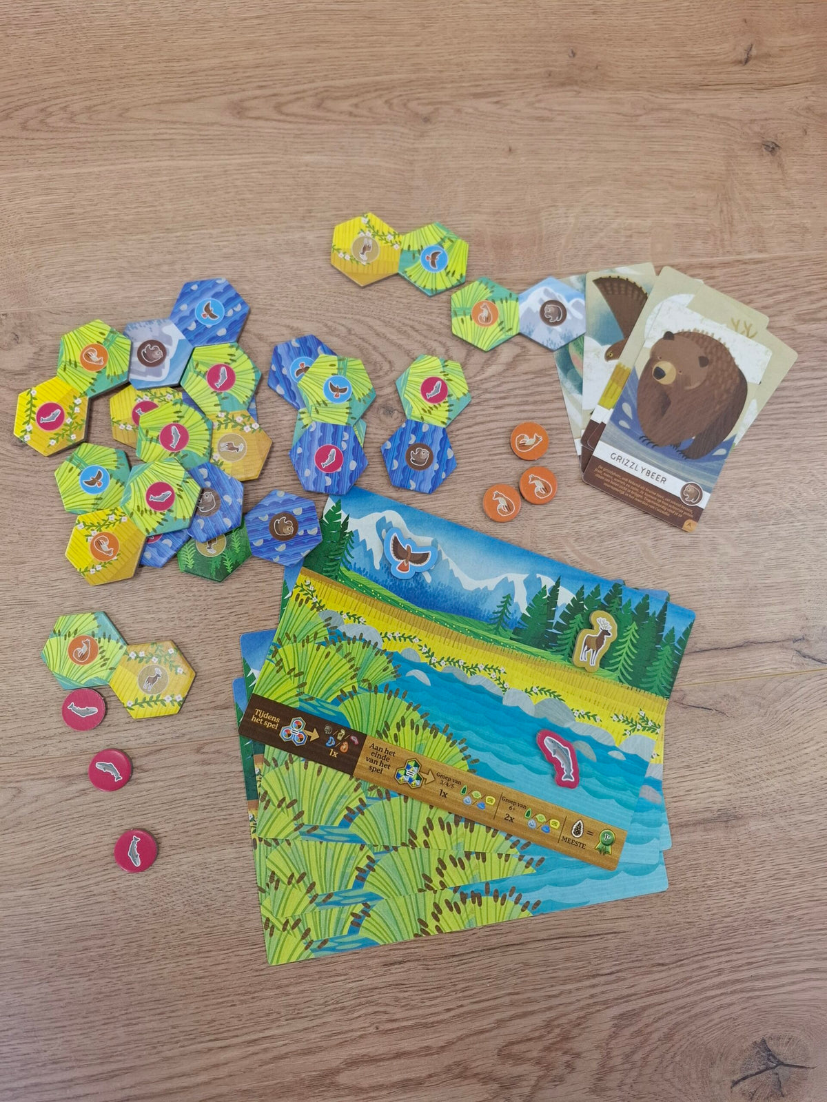 Cascadia Junior – Bouw je eigen wildernis | Vanaf 6 jaar
