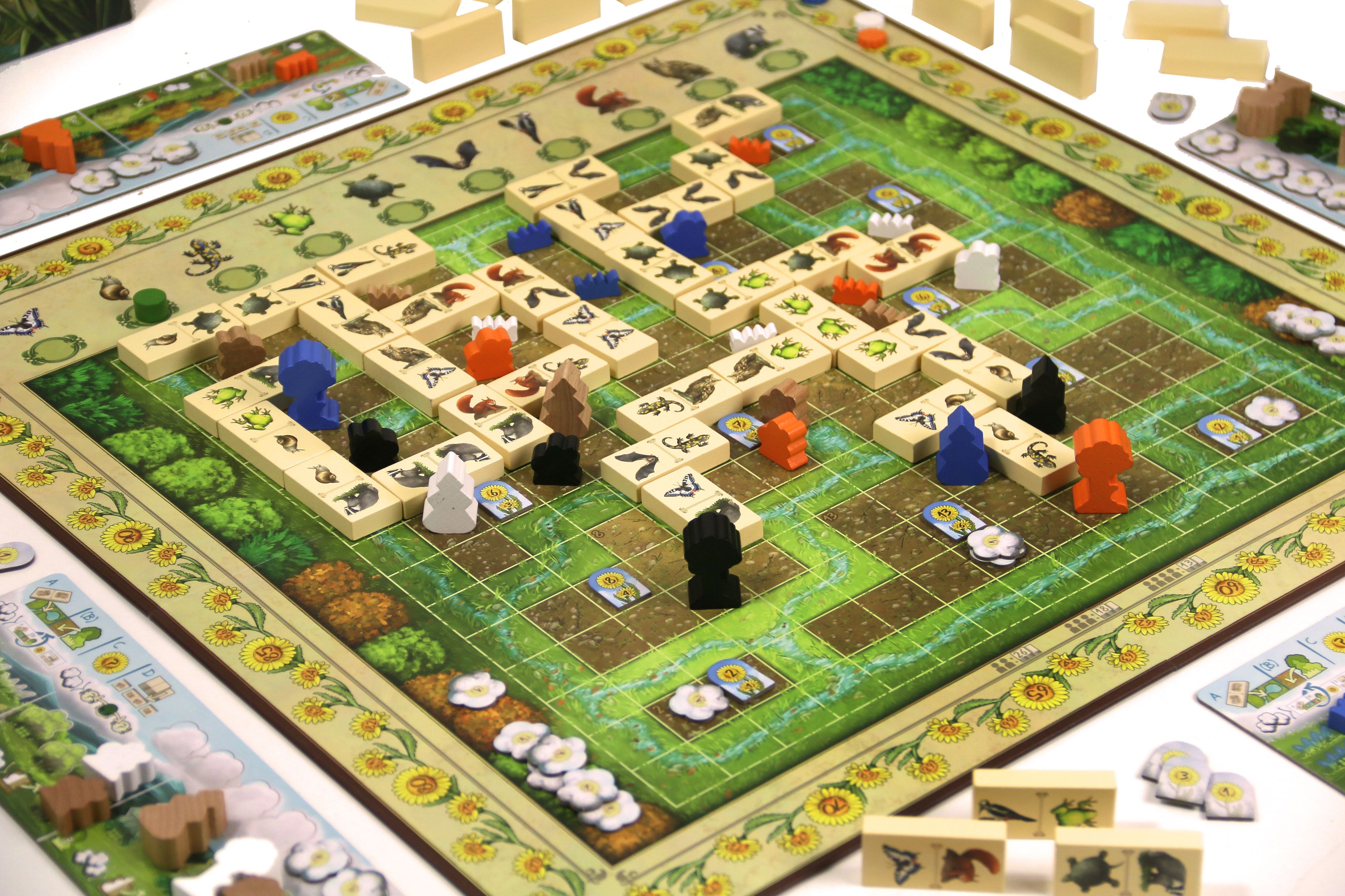 Renature - bordspel