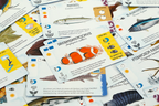 Finspan - bordspel