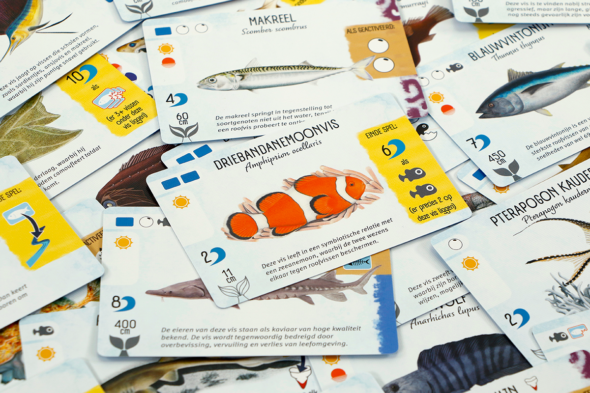 Finspan - bordspel