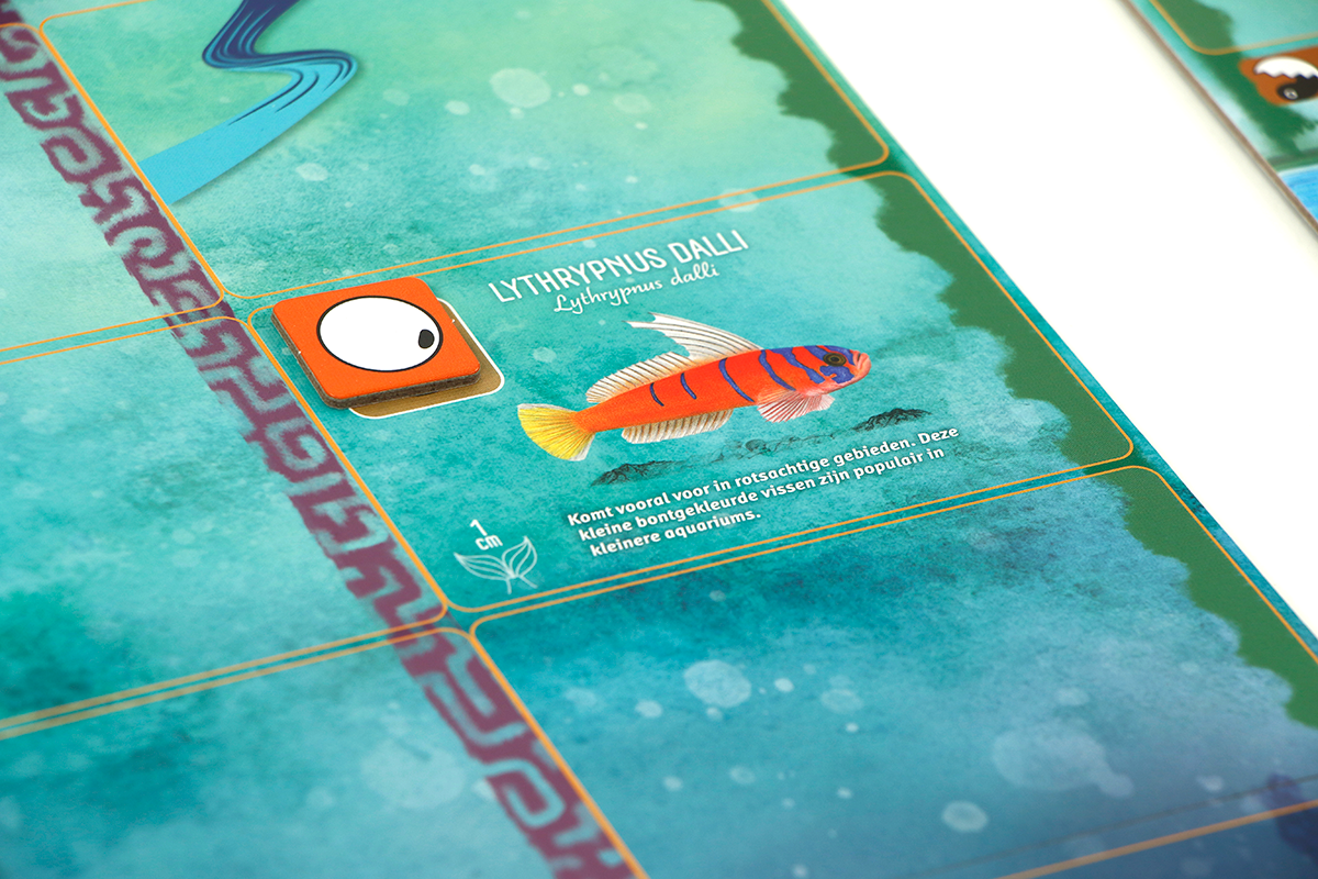 Finspan - bordspel