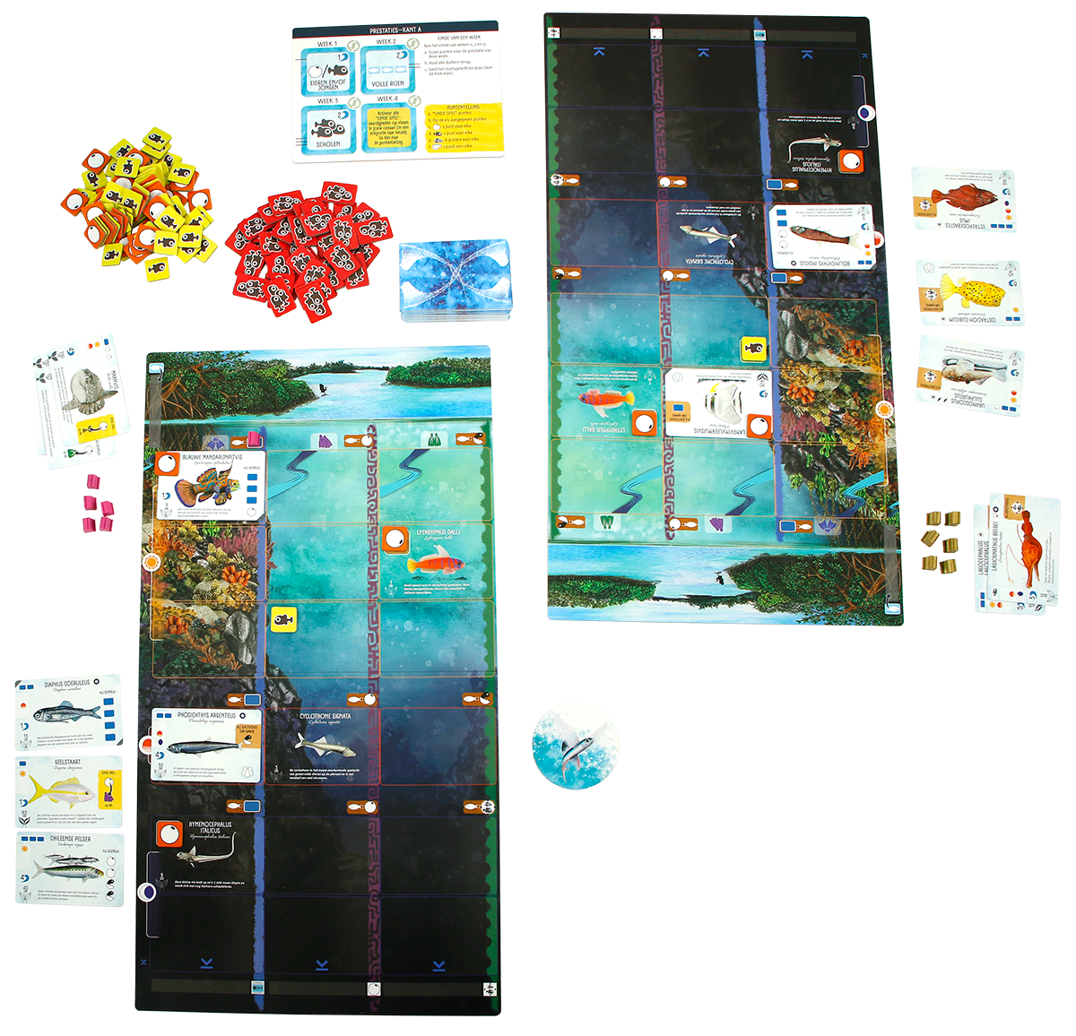 Finspan - bordspel