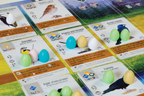 Wingspan - bordspel