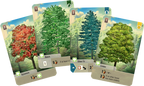 Forest Shuffle – Kaartspel - Bouw je eigen ecosysteem | Vanaf 10 jaar